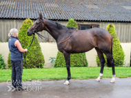 WG031025-59 - Jaramillo